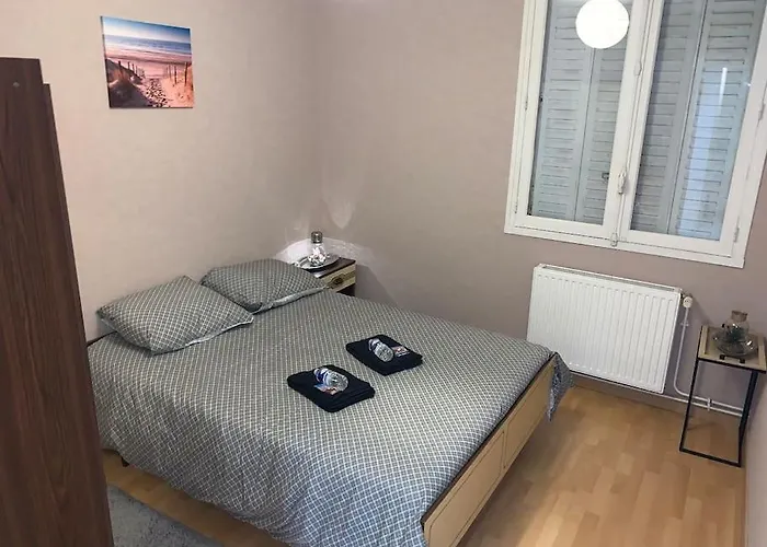 Apartment Familiale Et Conviviale 2 A - 250m Hopital